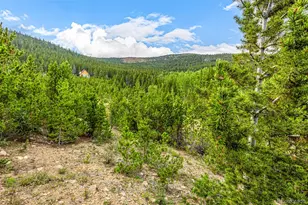 Aspen Rd, Idaho Springs, CO 80452 - Photo 1