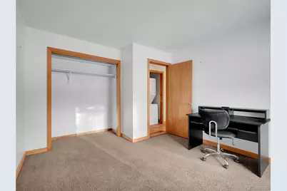 99 Mohawk Trail, Pine, CO 80470 - Photo 21