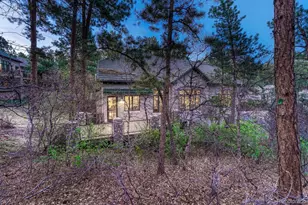 4537 Silver Dale Ct, Castle Rock, CO 80108 - Photo 43