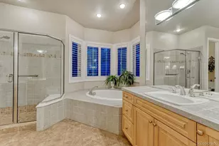 4537 Silver Dale Ct, Castle Rock, CO 80108 - Photo 29