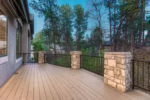 4537 Silver Dale Ct, Castle Rock, CO 80108 - Photo 41