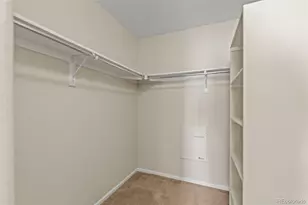 8399 Stonybridge Cir, Highlands Ranch, CO 80126 - Photo 23