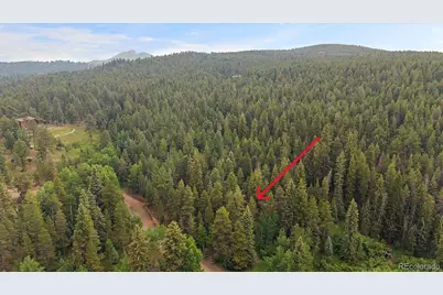 27578 Timber Trail, Conifer, CO 80433 - Photo 25