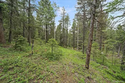 27578 Timber Trail, Conifer, CO 80433 - Photo 21