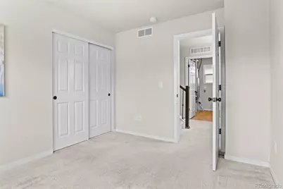 3141 Hardin Street, Castle Rock, CO 80109 - Photo 19