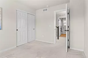 3141 Hardin St, Castle Rock, CO 80109 - Photo 19