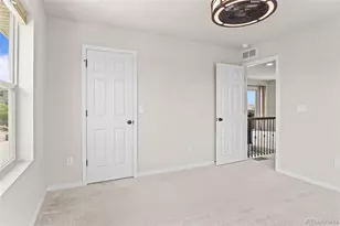 3141 Hardin St, Castle Rock, CO 80109 - Photo 35