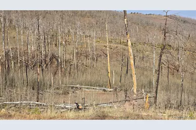 Lot 880 Slaoui Place, Fort Garland, CO 81133 - Photo 3