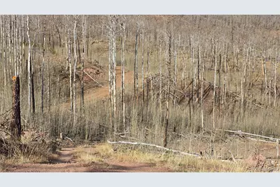 Lot 880 Slaoui Place, Fort Garland, CO 81133 - Photo 15