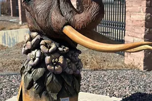 7414 Green River Ave, Frederick, CO 80530 - Photo 25