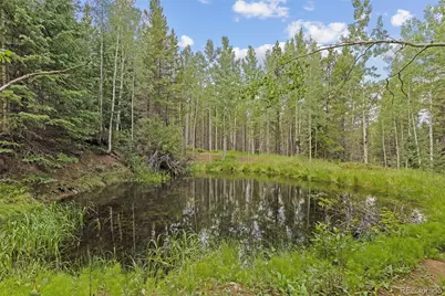 4487 Smith Hill Road, Black Hawk, CO 80422 - Photo 31