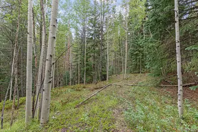4487 Smith Hill Road, Black Hawk, CO 80422 - Photo 39