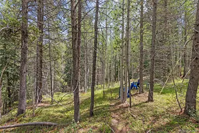4487 Smith Hill Road, Black Hawk, CO 80422 - Photo 37