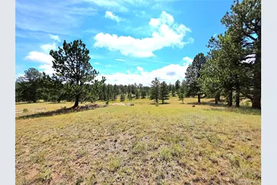 277 Cherokee Drive, Florissant, CO 80816 - Photo 49