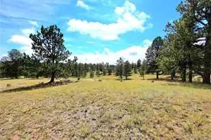 277 Cherokee Dr, Florissant, CO 80816 - Photo 49