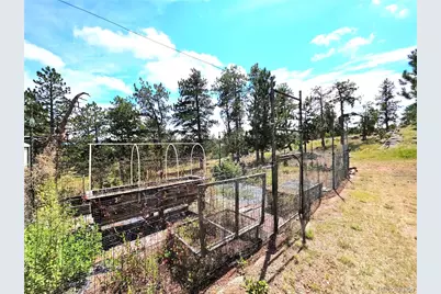 277 Cherokee Drive, Florissant, CO 80816 - Photo 37