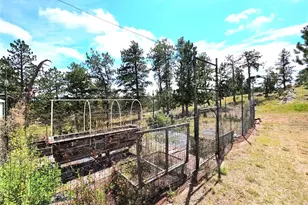 277 Cherokee Dr, Florissant, CO 80816 - Photo 37