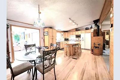 277 Cherokee Drive, Florissant, CO 80816 - Photo 15