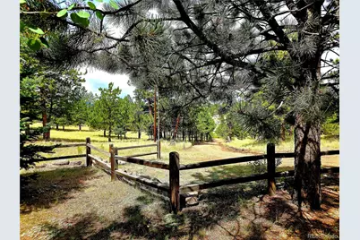 277 Cherokee Drive, Florissant, CO 80816 - Photo 9