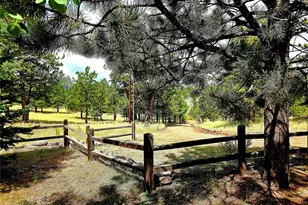 277 Cherokee Dr, Florissant, CO 80816 - Photo 9
