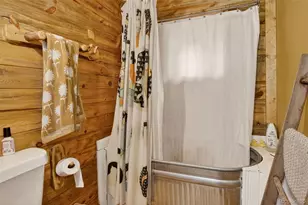 27403 Schuyler Gulch Rd, Pine, CO 80470 - Photo 11