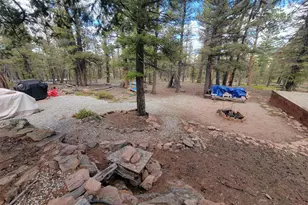 94 Pullman Loop, Hartsel, CO 80449 - Photo 1