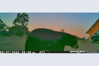 13045 Picketwire Road, Boncarbo, CO 81024 - Photo 37