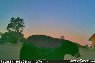 13045 Picketwire Rd, Boncarbo, CO 81024 - Photo 37