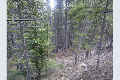 Lot #440 Hillside Road, Idaho Springs, CO 80452 - Photo 1