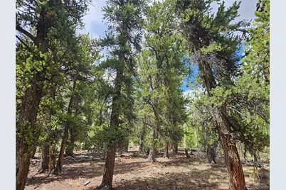 Pcs#38033 Foxtail Drive, Fairplay, CO 80440 - Photo 15