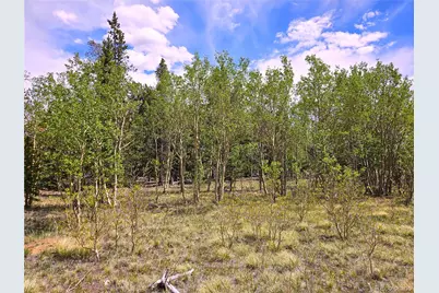 Pcs#38033 Foxtail Drive, Fairplay, CO 80440 - Photo 3