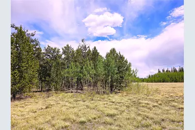 Pcs#38033 Foxtail Drive, Fairplay, CO 80440 - Photo 19