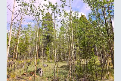 Pcs#38033 Foxtail Drive, Fairplay, CO 80440 - Photo 31