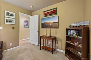 9937 Gwendelyn Pl, Highlands Ranch, CO 80129 - Photo 23