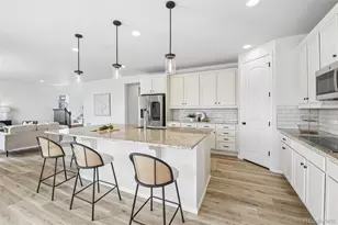 6688 Leilani Dr, Castle Rock, CO 80108 - Photo 7
