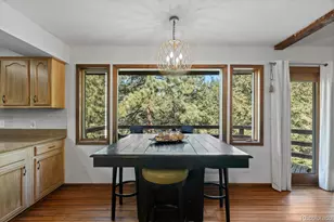 32638 Little Cub Rd, Evergreen, CO 80439 - Photo 9