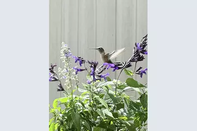 7080 W Stetson Place #19, Littleton, CO 80123 - Photo 33