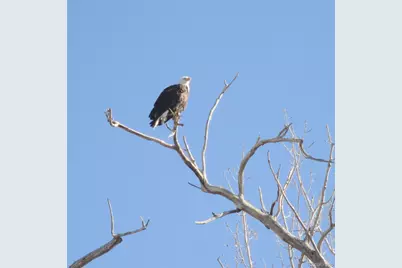 7080 W Stetson Place #19, Littleton, CO 80123 - Photo 41