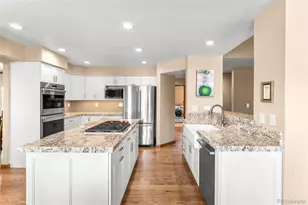 8880 Chestnut Hill Way, Highlands Ranch, CO 80130 - Photo 11