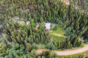11173 S Barney Gulch Rd, Conifer, CO 80433 - Photo 9