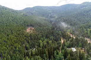 11173 S Barney Gulch Rd, Conifer, CO 80433 - Photo 13