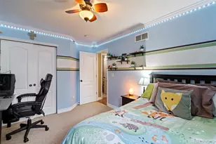 632 Gallegos St, Erie, CO 80516 - Photo 31
