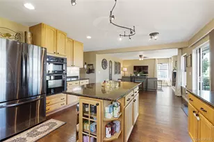5299 Netherland St, Denver, CO 80249 - Photo 15