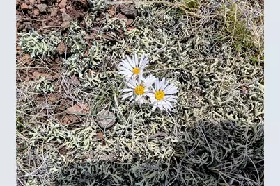 2343 Xtha Trail, Hartsel, CO 80449 - Photo 13