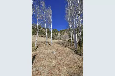 221 Floresta, Florissant, CO 80816 - Photo 3