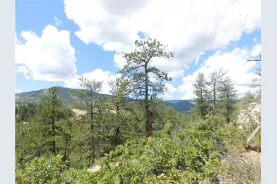 4977 Mohawk Drive, Larkspur, CO 80118 - Photo 43