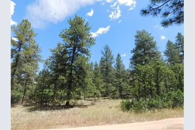 4977 Mohawk Drive, Larkspur, CO 80118 - Photo 7
