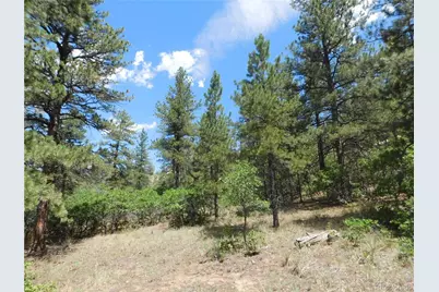 4977 Mohawk Drive, Larkspur, CO 80118 - Photo 19