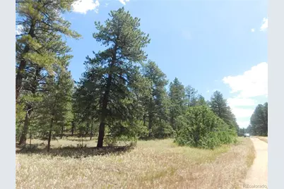 4977 Mohawk Drive, Larkspur, CO 80118 - Photo 13