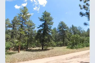 4977 Mohawk Drive, Larkspur, CO 80118 - Photo 9